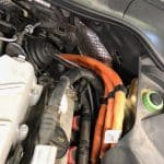 Snake inside car engine compartment near cables