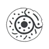 Car brake disc and caliper icon