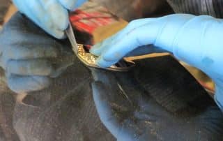 Gloved hands repairing small electronic circuit board